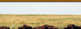 buffalo hunts, bison hunts, hunting buffalo south dakota, south dakota buffalo hunts, hunting guides, hunting outfitters